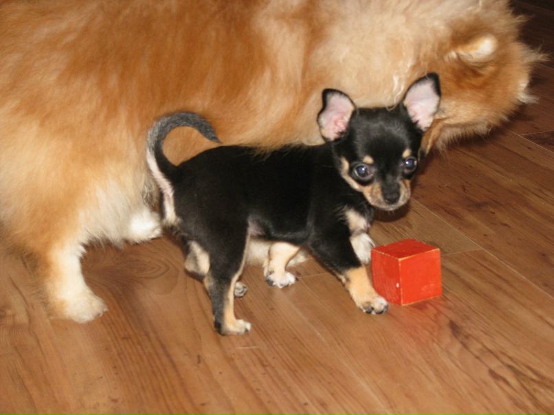 Илья Каркач фотография #39