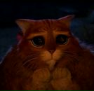 Фотография Ксенона Николя