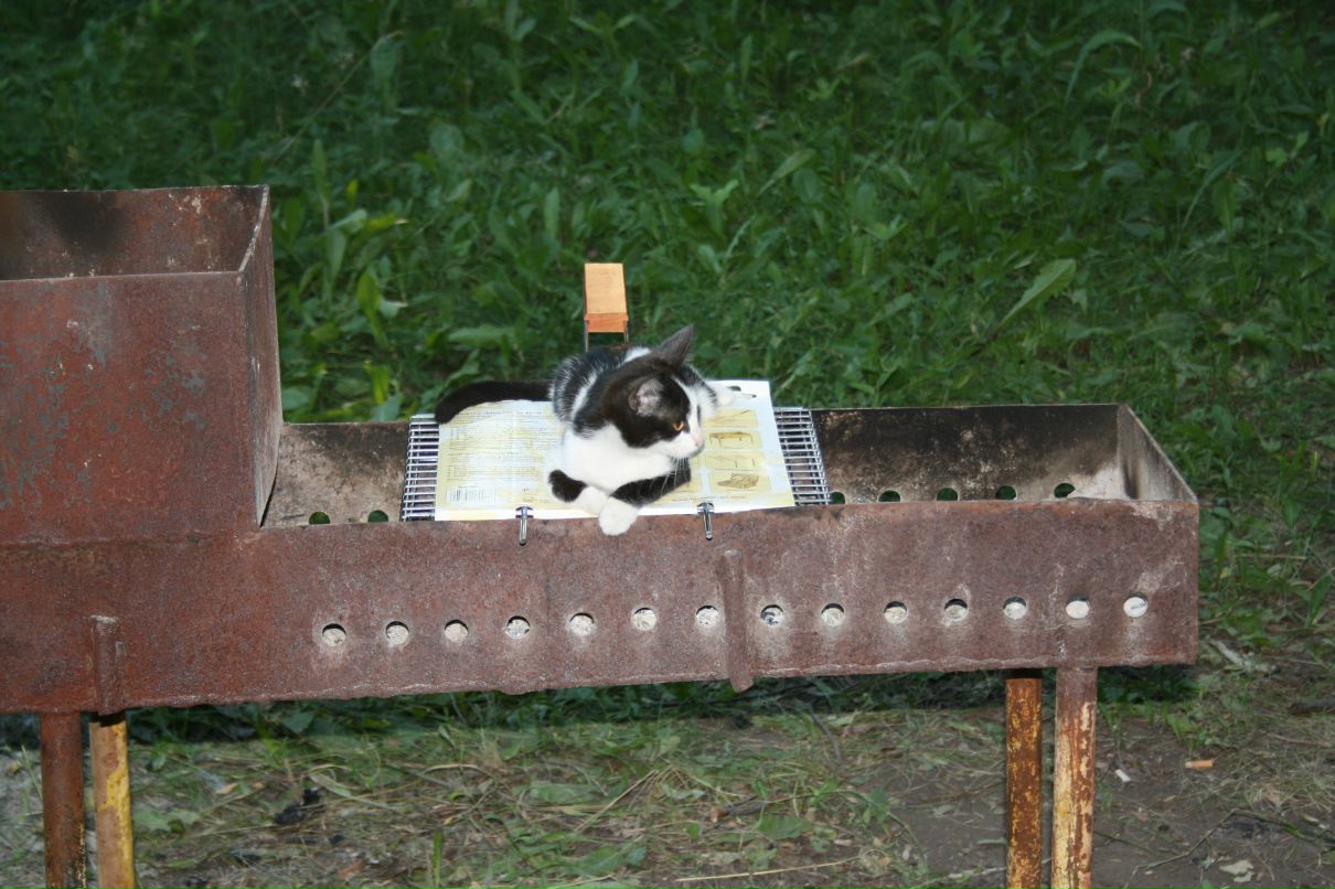 Дмитрий Савельев фотография #46