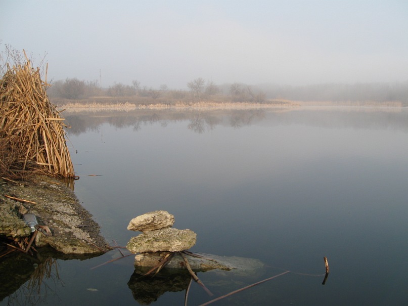 Дмитрий Куницкий фотография #15