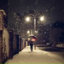 Фотография Белоусовой Лизы