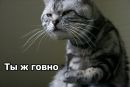 Фотография Степанова Ильи