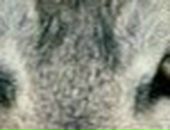 Владік Грущак фотография #4 (источник - https://vk.com/id134356199)