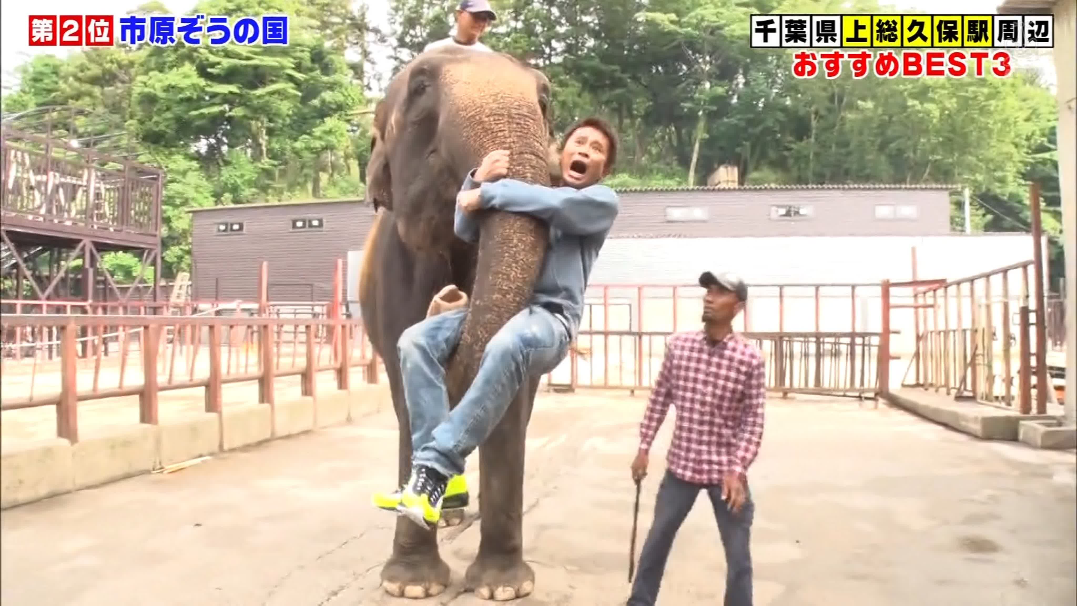 Gaki No Tsukai #1461 (2019.06.23) 5th Ask the Best 3 in a Strange